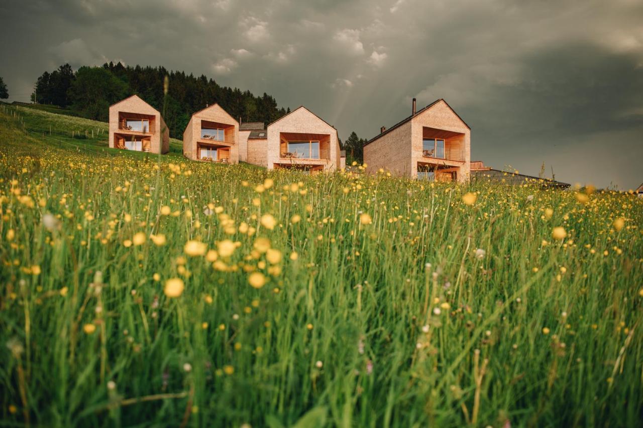 Peterhof Chalets Batschuns 外观 照片